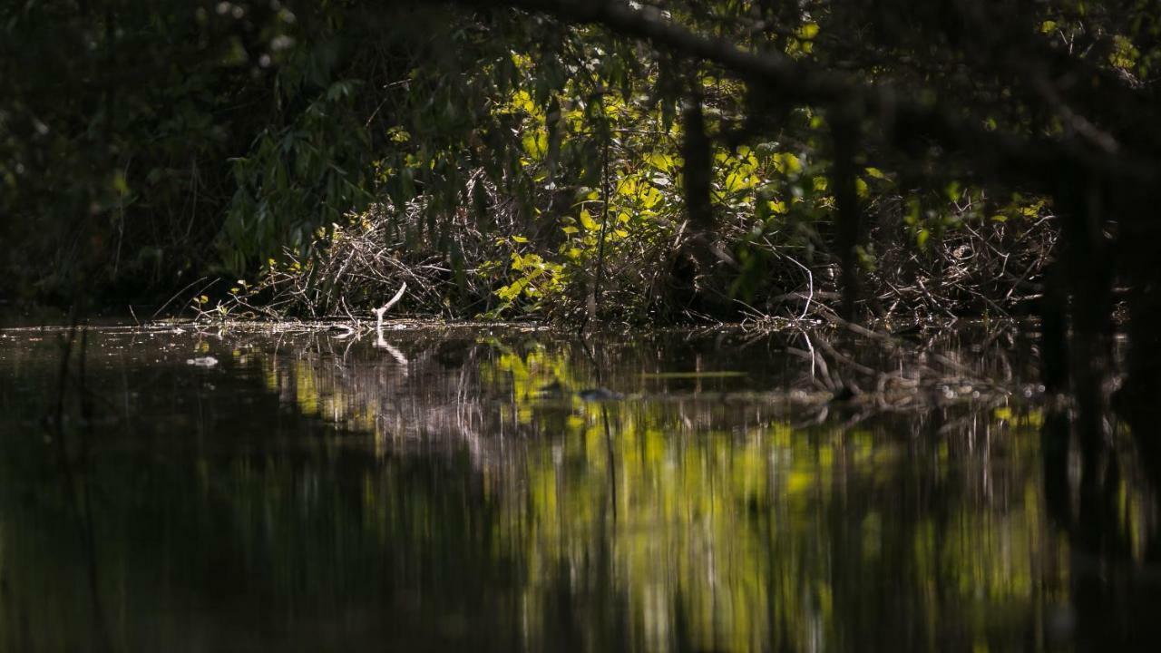 Pensiunea Aquavilla Maliuc Eksteriør bilde